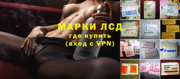 индика Володарск
