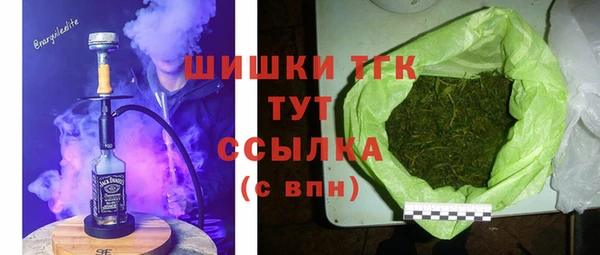 индика Володарск