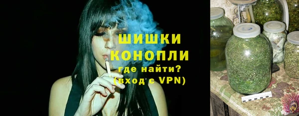 индика Володарск
