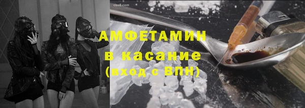 индика Володарск