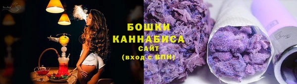 индика Володарск