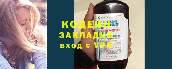 индика Володарск