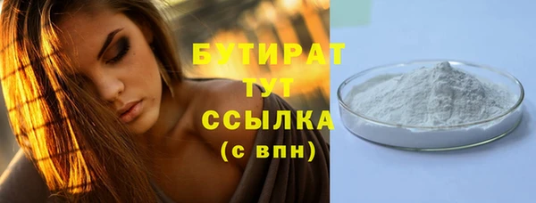 индика Володарск