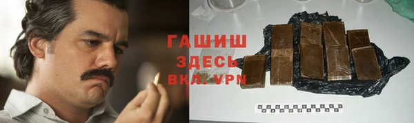 индика Володарск