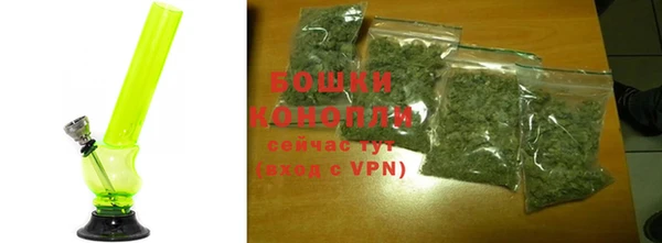 индика Володарск