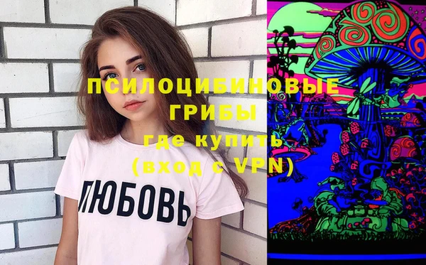 индика Володарск