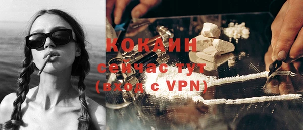 индика Володарск