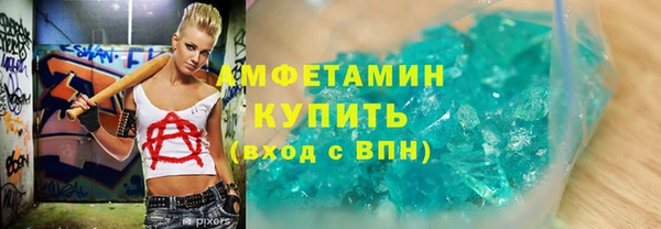 индика Володарск