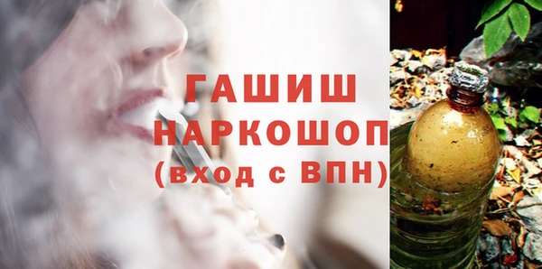 индика Володарск