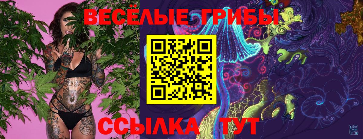 Галлюциногенные грибы Cubensis Выкса