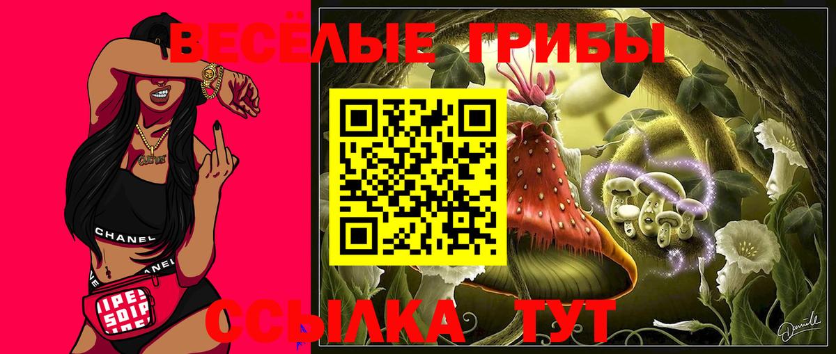 Галлюциногенные грибы GOLDEN TEACHER  Псилоцибиновые грибы Magic Shrooms  Вход с VPN  Выкса 