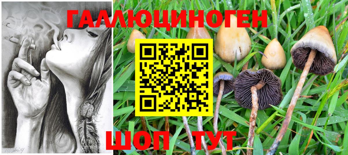 Галлюциногенные грибы GOLDEN TEACHER  Выкса 